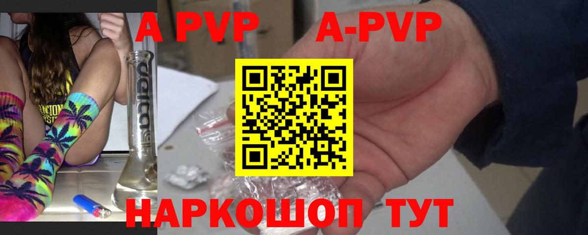 A PVP крисы CK Грозный