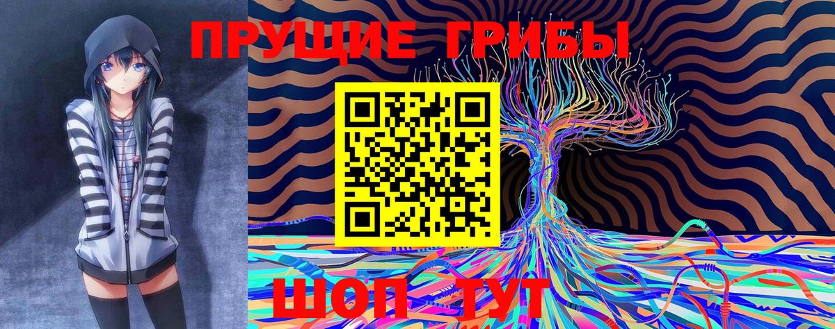 Псилоцибиновые грибы Magic Shrooms  Галлюциногенные грибы Psilocybe  Грозный  Вход с VPN 